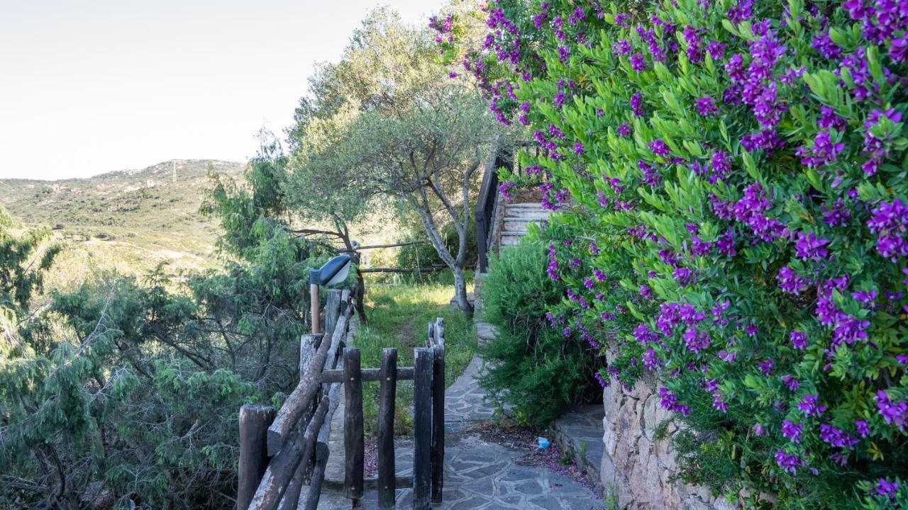 La Rosa Dei Venti Apts Porto San Paolo  Esterno foto